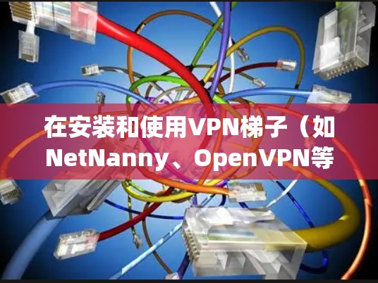 在安装和使用VPN梯子(如NetNanny、OpenVPN等)时,以下是一些详细的步骤指南