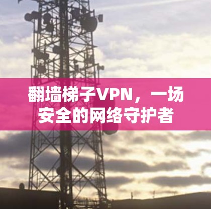 翻墙梯子VPN,一场安全的网络守护者
