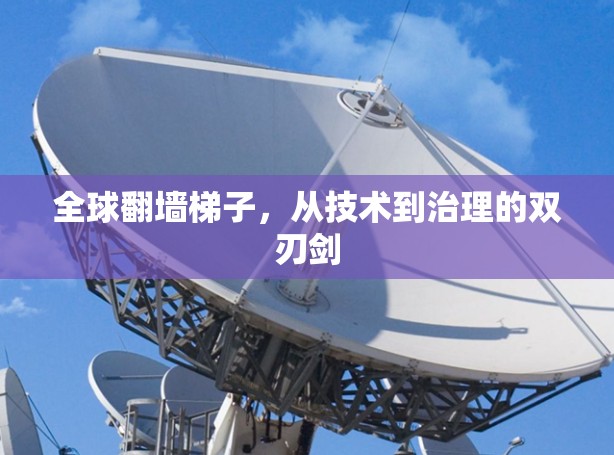全球翻墙梯子,从技术到治理的双刃剑