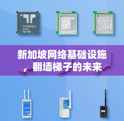 新加坡网络基础设施,翻墙梯子的未来