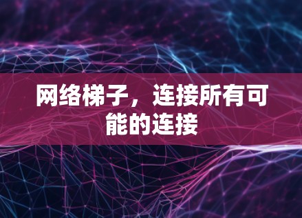 网络梯子,连接所有可能的连接