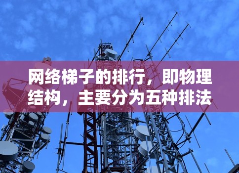 网络梯子的排行，即物理结构，主要分为五种排法，每种排法都有其独特的优点和缺点，具体如下