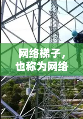 网络梯子,也称为网络网架或网络拓扑结构,通过连接多个网络节点,形成一个更大的网络拓扑结构,从而减少数据传输路径,进而减少延迟。以下是网络梯子如何降低延迟的具体方法