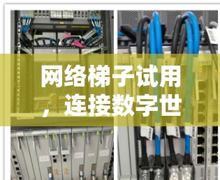 网络<strong>梯子试用</strong>，连接数字世界的桥梁