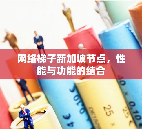 网络梯子新加坡节点，性能与功能的结合