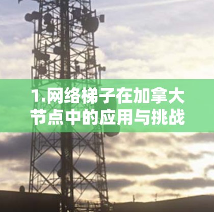 1.网络梯子在加拿大节点中的应用与挑战