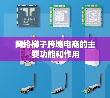 网络梯子跨境电商的主要功能和作用