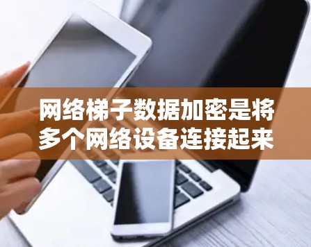 网络梯子数据加密是将多个网络设备连接起来并确保数据在传输过程中的安全的重要技术。以下是对该主题的详细总结