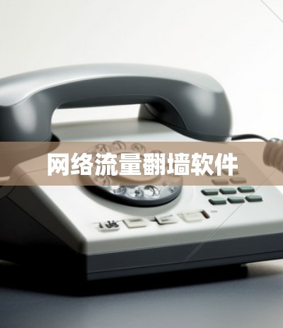 网络流量翻墙软件