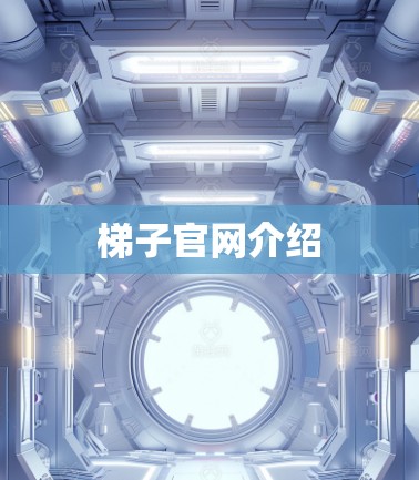 梯子官网介绍