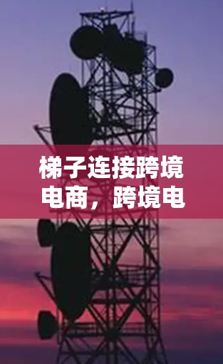 梯子连接跨境电商，跨境电商的未来