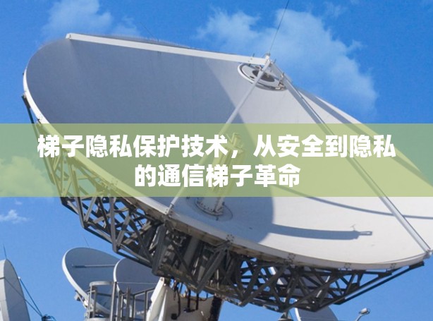 梯子隐私保护技术，从安全到隐私的通信梯子革命