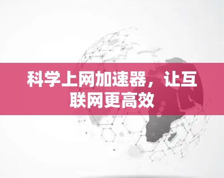 科学上网加速器，让互联网更高效