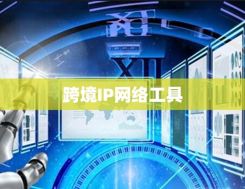 跨境IP网络工具