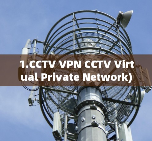 1.CCTV VPN CCTV Virtual Private Network)