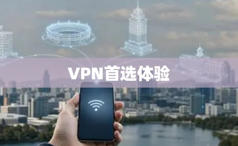 VPN首选体验