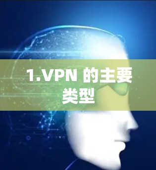 1.VPN 的主要类型