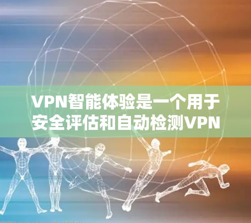VPN智能体验是一个用于安全评估和自动检测VPN功能的软件工具。以下是步骤