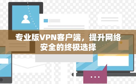 专业版<strong>VPN客户端</strong>，提升网络安全的终极选择