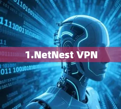 1.NetNest VPN