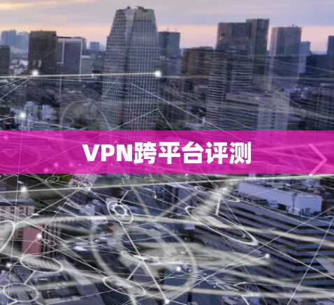 VPN跨平台评测