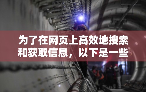 为了在网页上高效地搜索和获取信息，以下是一些推荐的工具及其使用方法