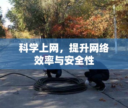 科学上网，提升网络效率与安全性