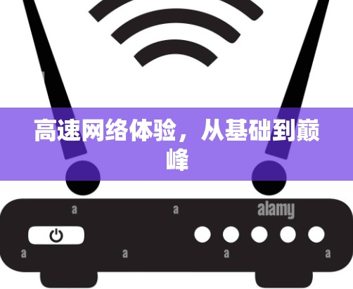 高速网络体验，从基础到巅峰