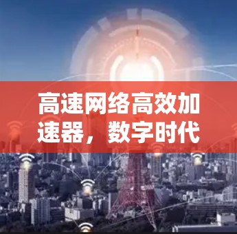 高速网络高效加速器，数字时代构建高效传输的未来