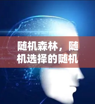 随机森林，随机选择的随机选择