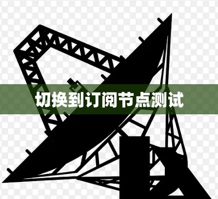 切换到订阅节点测试