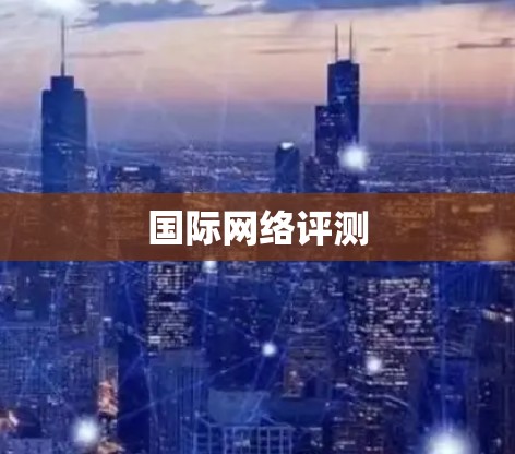 国际网络评测