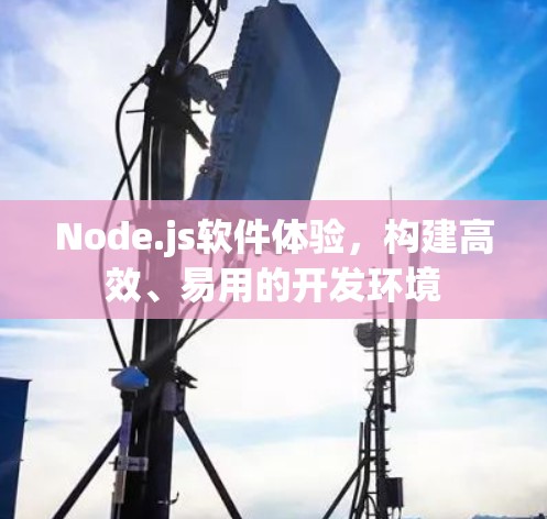 Node.js软件体验,构建高效、易用的开发环境