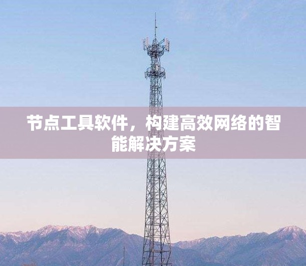 节点工具软件,构建高效网络的智能解决方案
