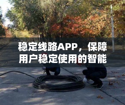 稳定线路APP,保障用户稳定使用的智能解决方案 稳定线路APP,保障用户稳定使用的智能解决方案
