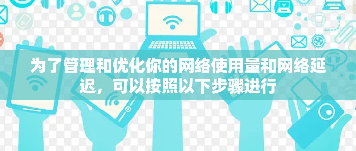 为了管理和优化你的网络使用量和网络延迟，可以按照以下步骤进行