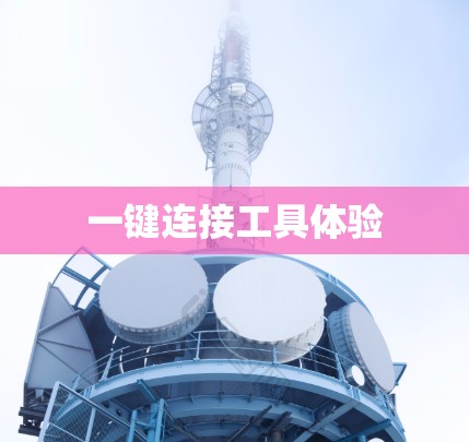 一键连接工具体验