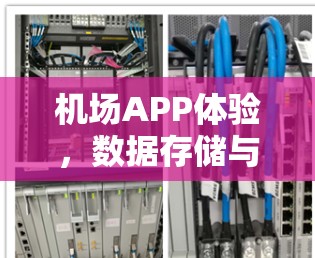 机场APP体验，数据存储与网络优化的双刃剑