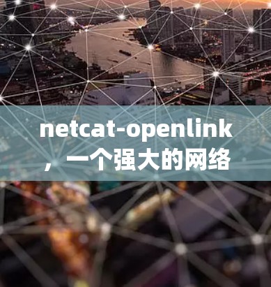 netcat-openlink，一个强大的<strong>网络加速</strong>器推荐