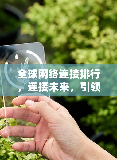 <strong>全球网络</strong>连接排行，连接未来，引领信息革命