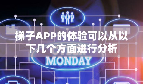 梯子APP的体验可以从以下几个方面进行分析