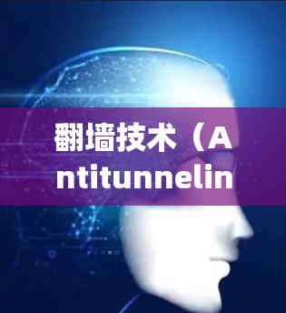 翻墙技术（Antitunneling）是一种技术，用于阻止IP地址在互联网上被隐藏或隐藏起来，从而保护用户免受网络攻击和隐私泄露的风险。翻墙技术分为两种，物理翻墙和软件翻墙