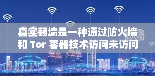 真实翻墙是一种通过防火墙和 Tor 容器技术访问未访问的互联网资源的技术。以下是对真实翻墙体验的详细总结