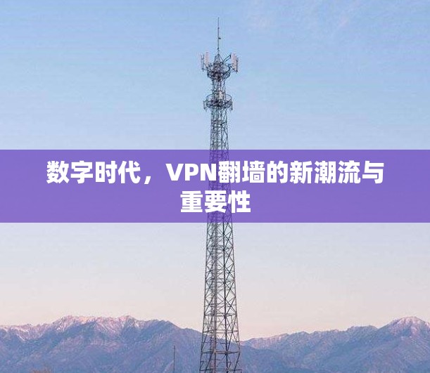 数字时代,VPN翻墙的新潮流与重要性