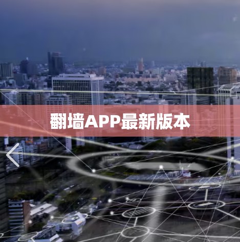 翻墙APP最新版本