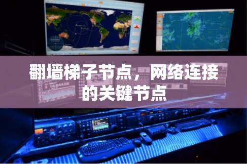 翻墙梯子节点，网络连接的关键节点