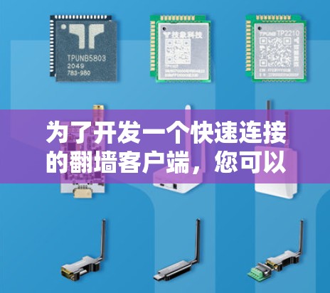 为了开发一个快速连接的翻墙客户端,您可以按照以下步骤进行