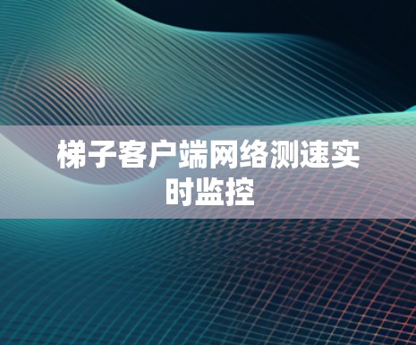 梯子客户端网络测速实时监控