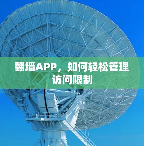 翻墙APP,如何轻松管理访问限制