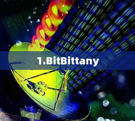 1.BitBittany